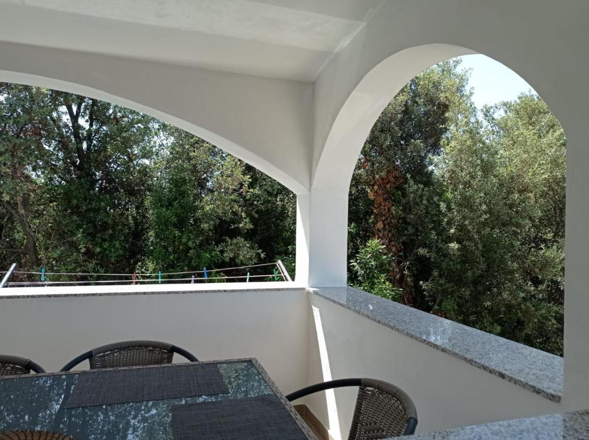 Ap Jurisic Apartment Bibinje Bagian luar foto